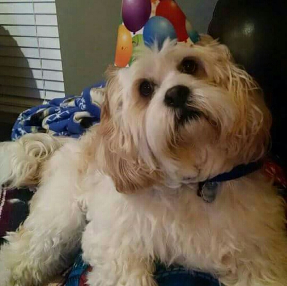 Make my mommy an offer she sends treats